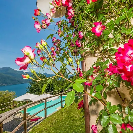 Frasca Appartement Stazzona
